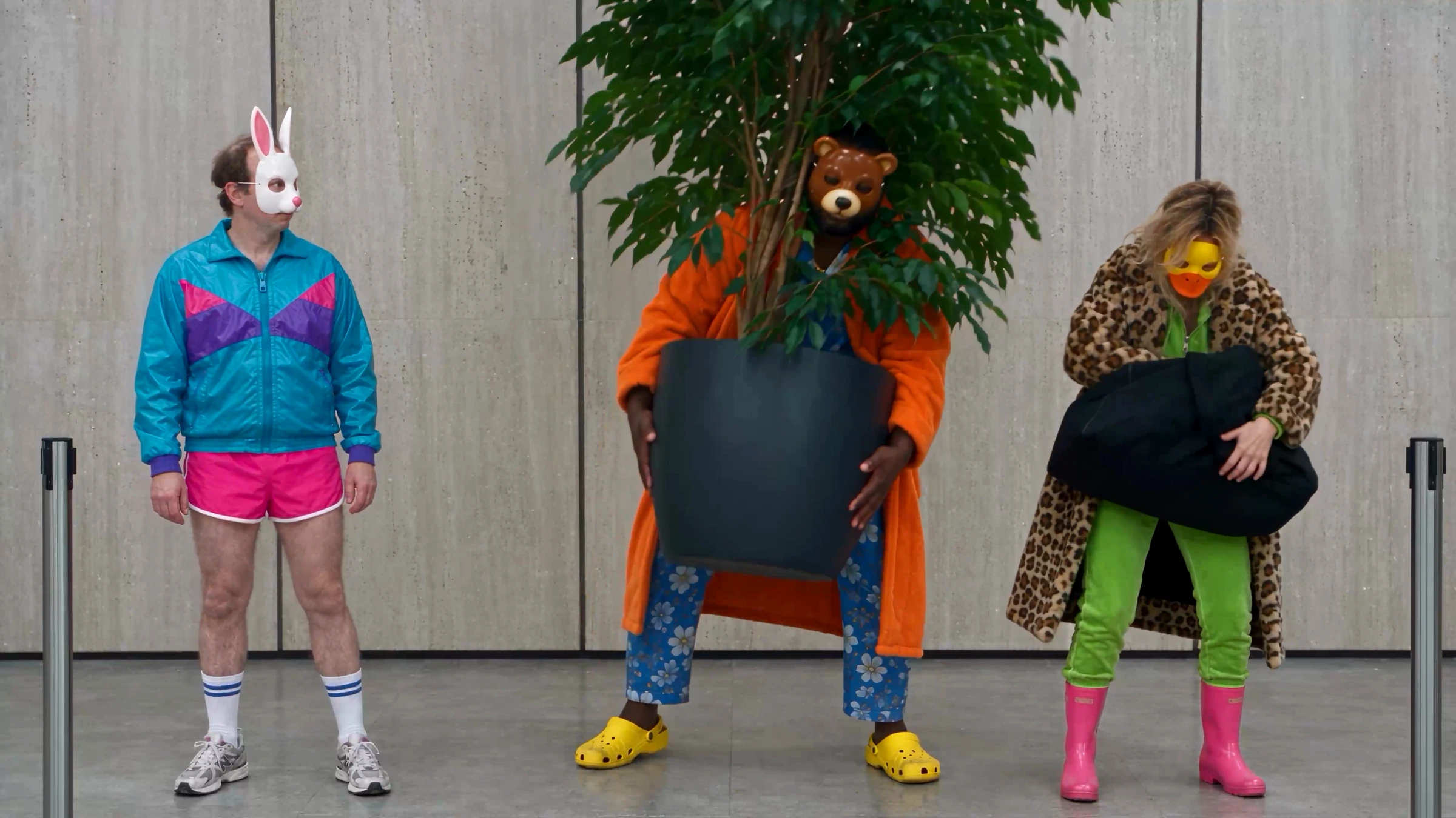 BEAR?! — visuel du projet
