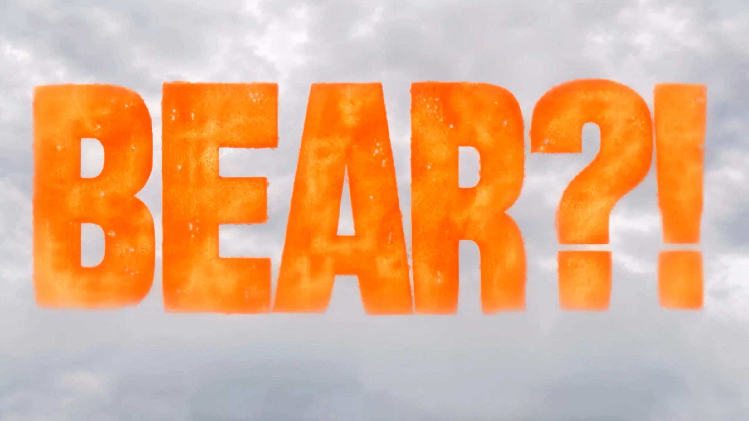 BEAR?! — visuel du projet