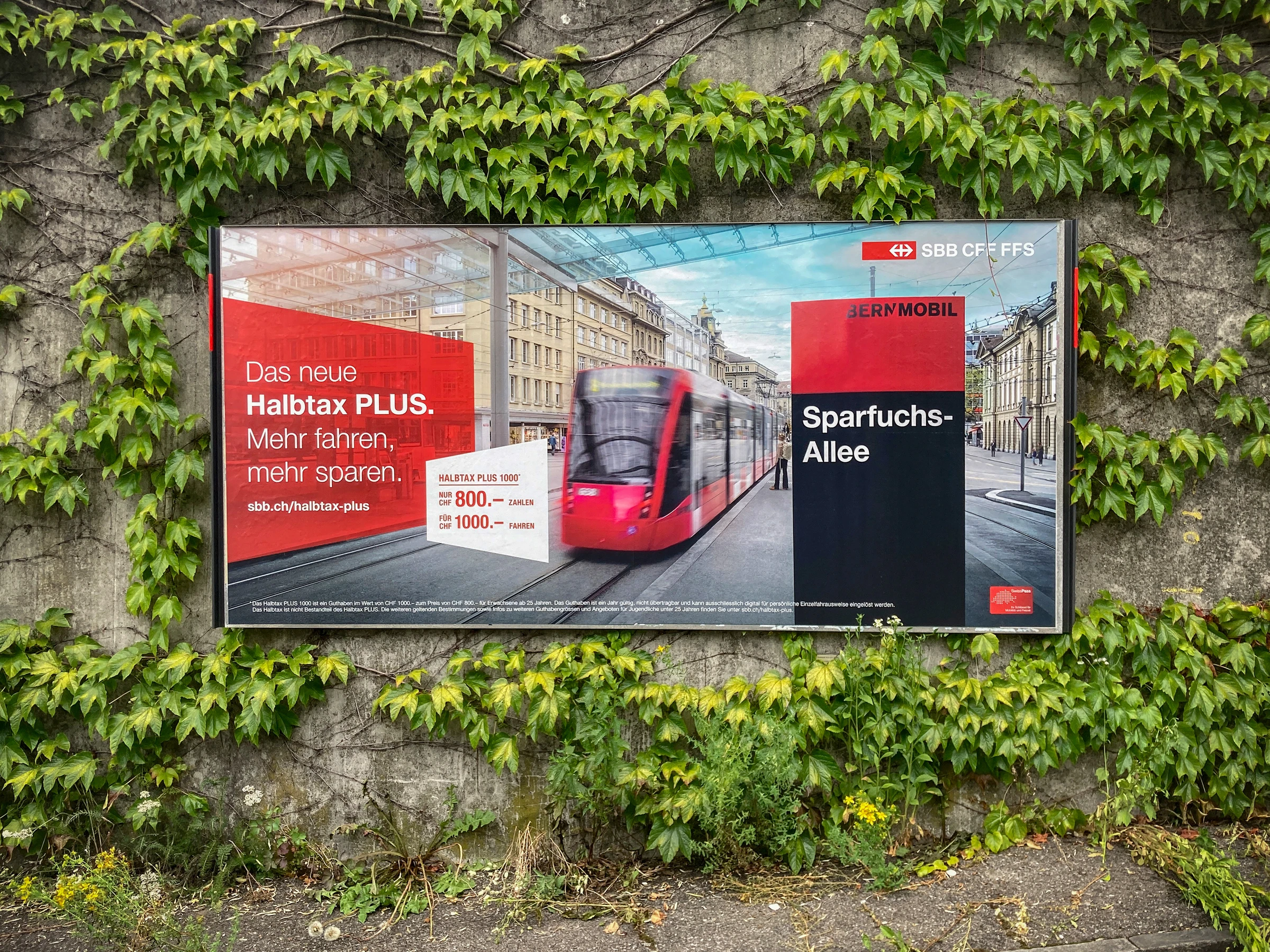 Affiche CFF « Sparfuchs-Allee » pour le demi-tarif PLUS, avec un tram rouge.